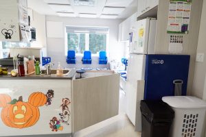 Local des Chatons - CPE Tante Michèle