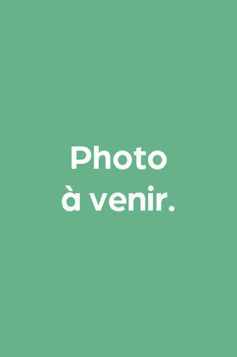 img-avenir-cptm img-avenir-cptm